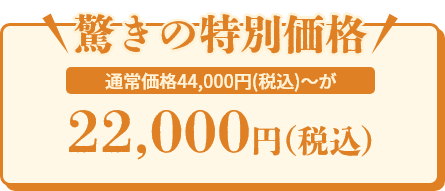 驚きの特別価格